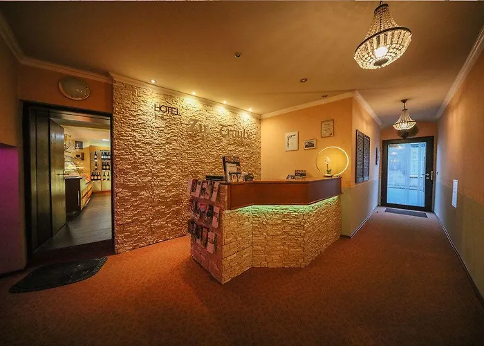 Hotel Zur Traube Freyburg